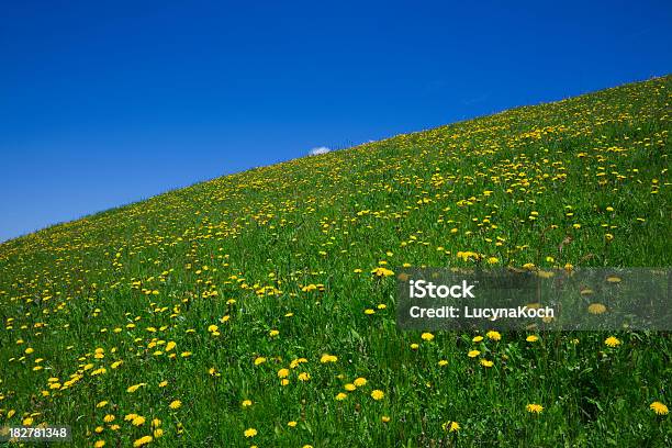 Green Gras Und Blauer Himmel Stockfoto und mehr Bilder von Blatt - Pflanzenbestandteile - Blatt - Pflanzenbestandteile, Blau, Blume