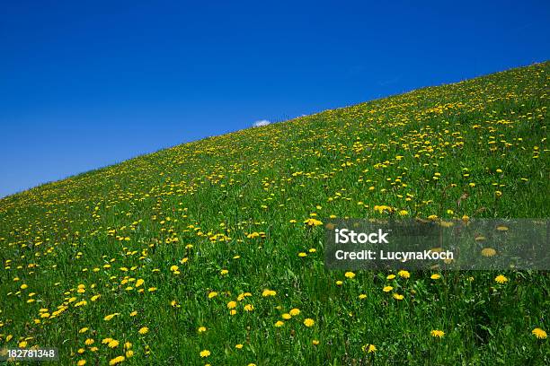 녹색 잔디 및 Blue Sky 0명에 대한 스톡 사진 및 기타 이미지 - 0명, 경관, 고요한 장면