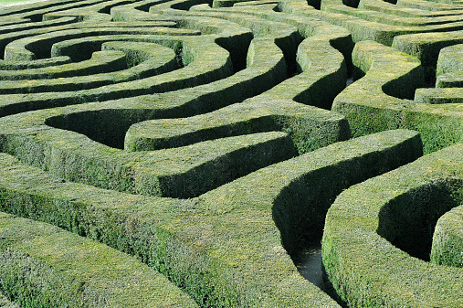 A abstract view of a labyrinth maze of green clipped topiary hedges and pathways