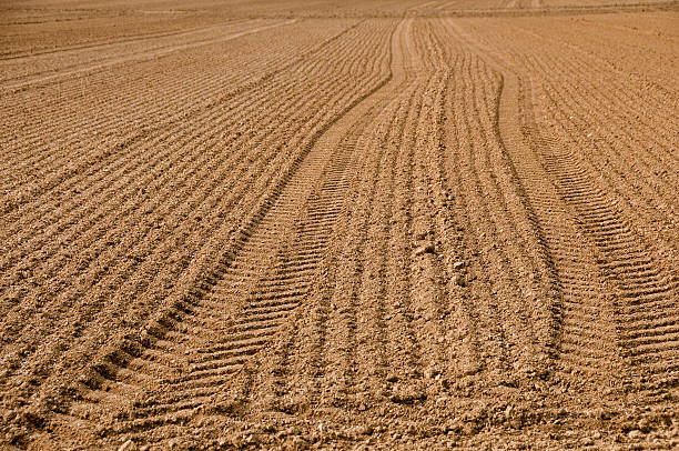 istock Plowed field tire marks brown soil dirt agriculture 182782095