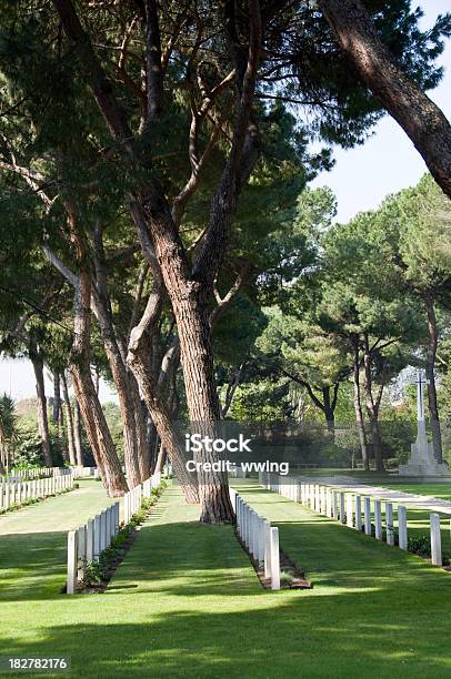 Foto de Cemitério Veterans e mais fotos de stock de Cemitério - Cemitério, Forças armadas, Fotografia - Imagem