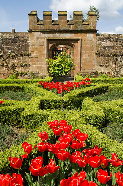 zamek w kenilworth - gate palace english culture formal garden zdjęcia i obrazy z banku zdjęć