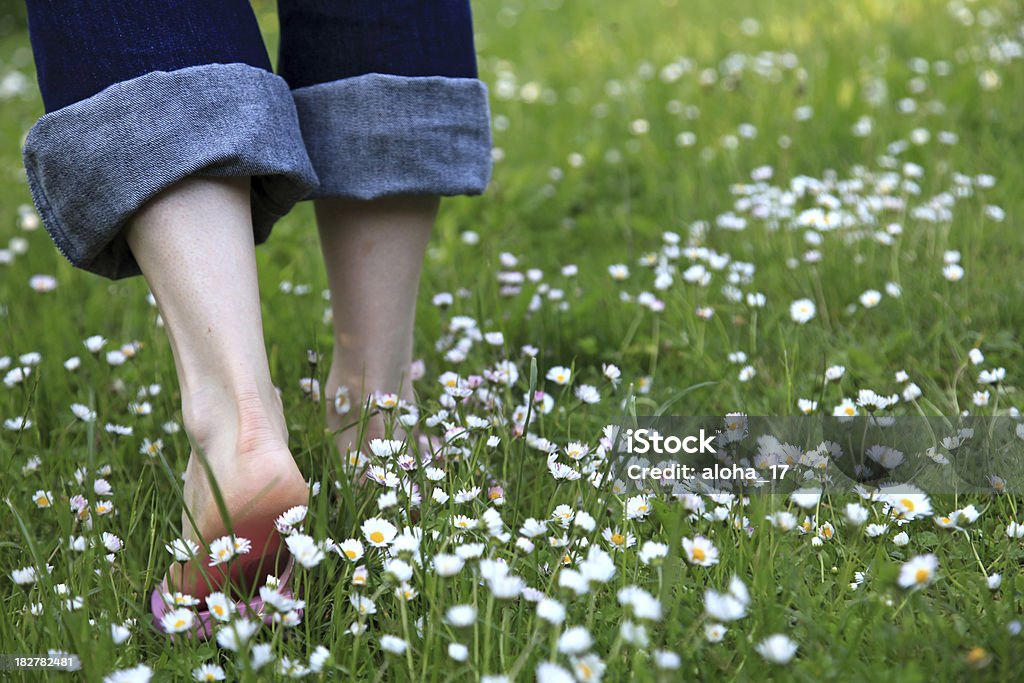 Ein Spaziergang durch die Wiese mit Gänseblümchen - Lizenzfrei Gehen Stock-Foto