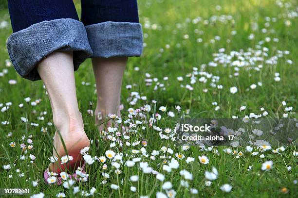 Ein Spaziergang Durch Die Wiese Mit Gänseblümchen Stockfoto und mehr Bilder von Gehen - Gehen, Barfuß, Gras