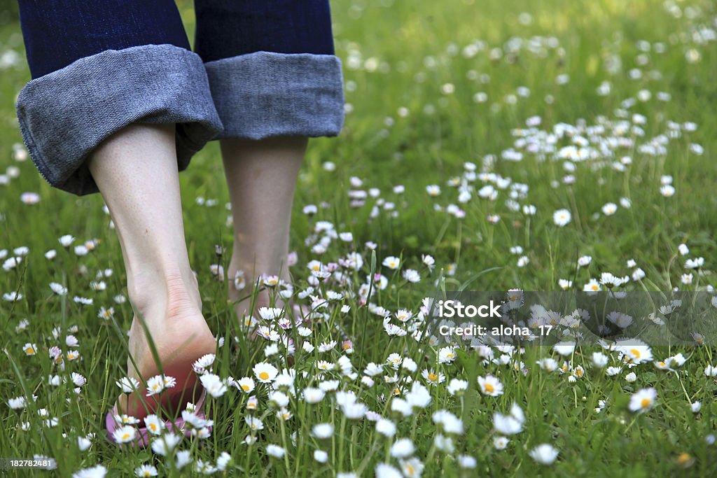 Caminhar através de um Prado daisy - Royalty-free Andar Foto de stock