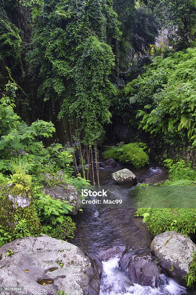 Paesaggio di fiume - Foto stock royalty-free di Acqua