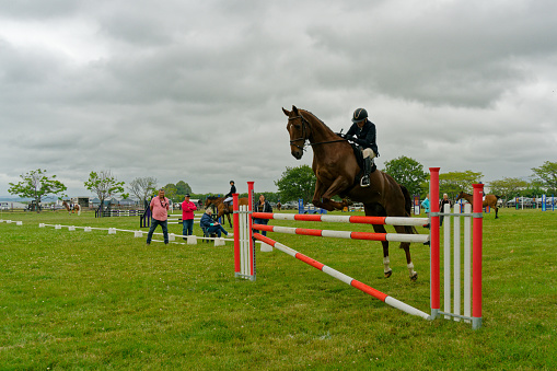 Riders at a horse jumping competition.