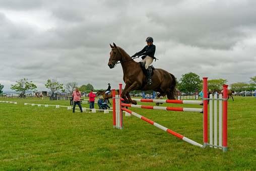 Marchwood Park, Motueka, Tasman District, Aotearoa / New Zealand â December 2, 2023: Horse with rider leaning back clearing a fence at the Motueka A and P show. Non-ticket community organised event, no press credentials needed.