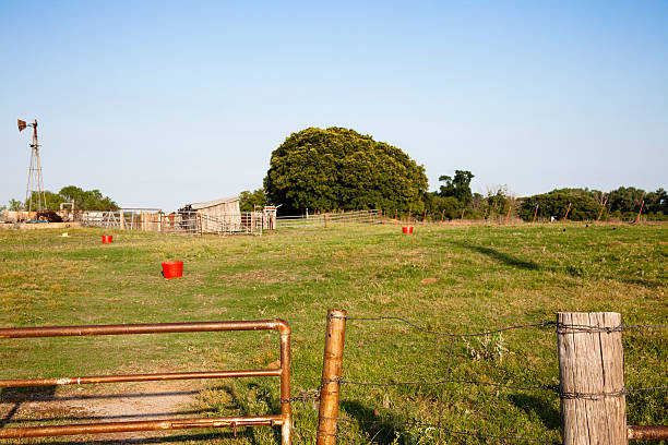 Cow or horse lot with red feed buckets. Foreground focus. Cow or horse lot, pasture, field, with red feed or water buckets. Barn and windmill in background. Focus is on the gate in the foreground. cattle pen stock pictures, royalty-free photos & images