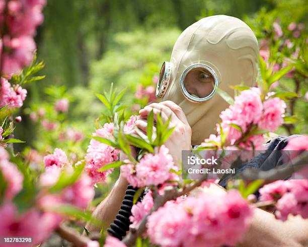 Foto de Allergy Temporada e mais fotos de stock de 20-24 Anos - 20-24 Anos, Adulto, Alergia