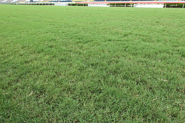 istock Horse Racing Track 182783309
