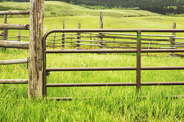 Corral gate encloses farm ranch livestock pen on rolling rural landscape under light rain.  Rural Montana, 2009.