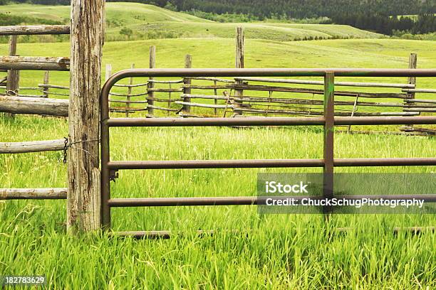 Corral Gate Farm Animal Pen Stock Photo - Download Image Now - Cattle Pen, Farm, Gate