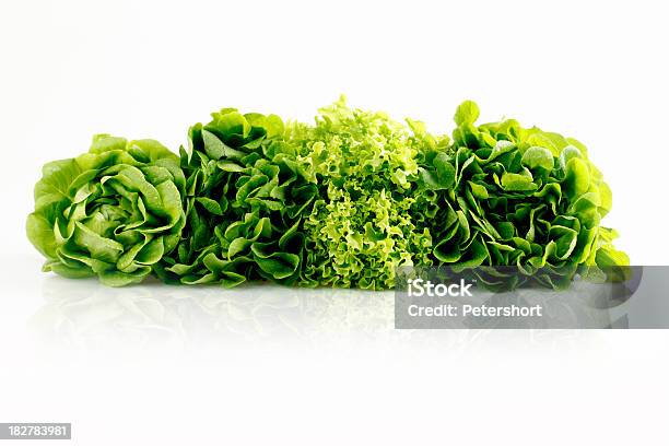 Verschiedene Lettuces Stockfoto und mehr Bilder von Variation - Variation, Blatt - Pflanzenbestandteile, Fotografie