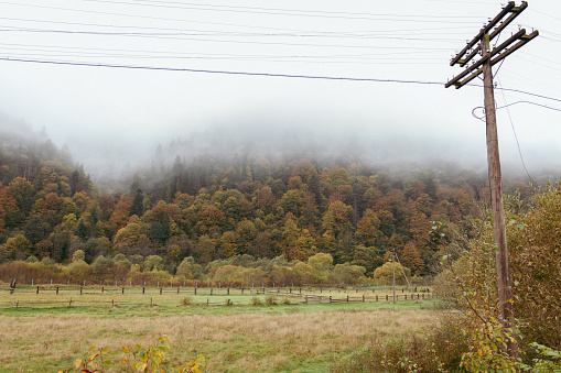 Pasture in autumn mountains with power pole. Valley of the Carpathian mountains in morning fog. Meadow with power lines and wire on foreground. Scenic autumn landscape. Rural autumn. Village lifestyle.