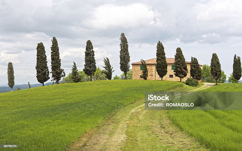 Val d'Orcia Masseria con cypresses e Prato, Toscana - Foto stock royalty-free di Ambientazione tranquilla