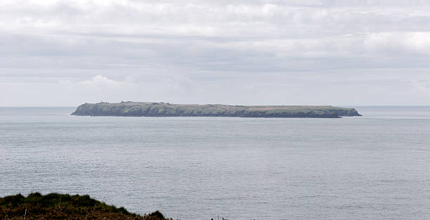 istock Skokholm Island nature reserve 182784169