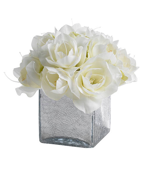 istock White amaryllis bouquet on white background 182784768