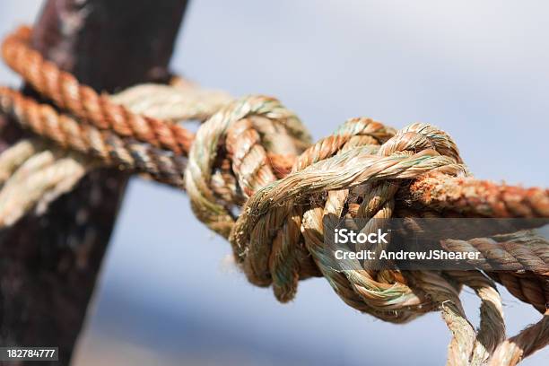 結び目 - ロープのストックフォトや画像を多数ご用意 - ロープ, 圧力, 紐