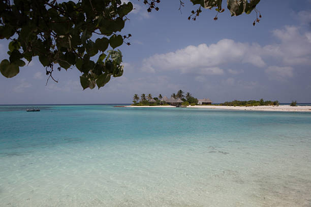 istock Paintful Island in the Maldives 182785236