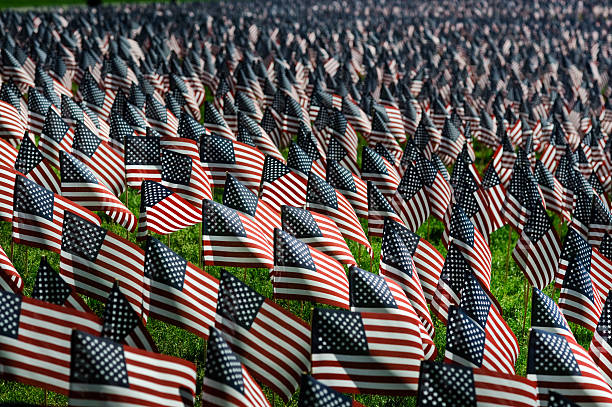 Memorial Day Flags – Foto