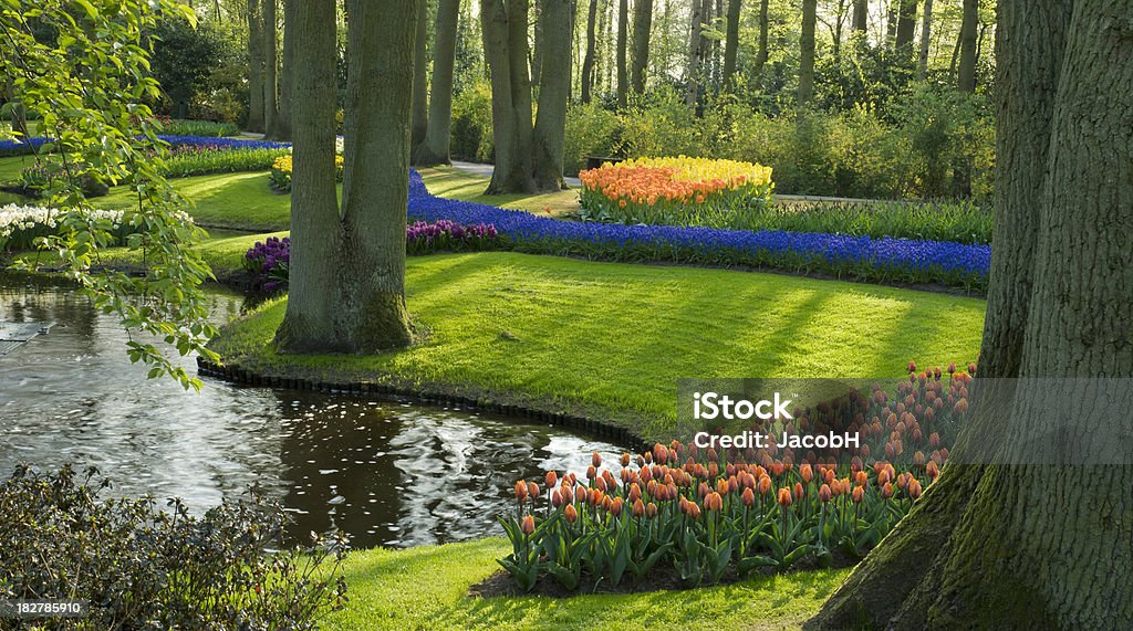 Spring in the Park "Park with multi-colored spring flowers along a pond. Location is the Keukenhof garden, Netherlands.Other tulip images:" Agricultural Field Stock Photo