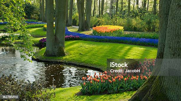 Spring In The Park Stock Photo - Download Image Now - Agricultural Field, Color Image, Flower