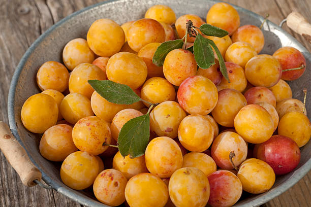 istock Bowl full of fresh small yellow plums (mirabelles) 182785973