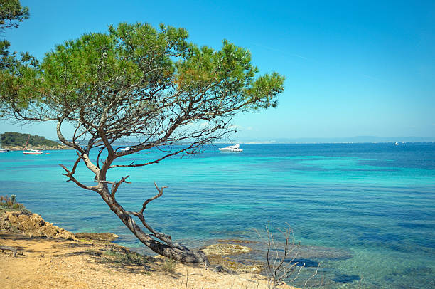 French Riviera stock photo