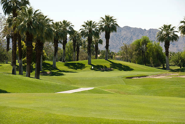 istock Beautiful Desert Golf Course in Palm Springs, California 182786605