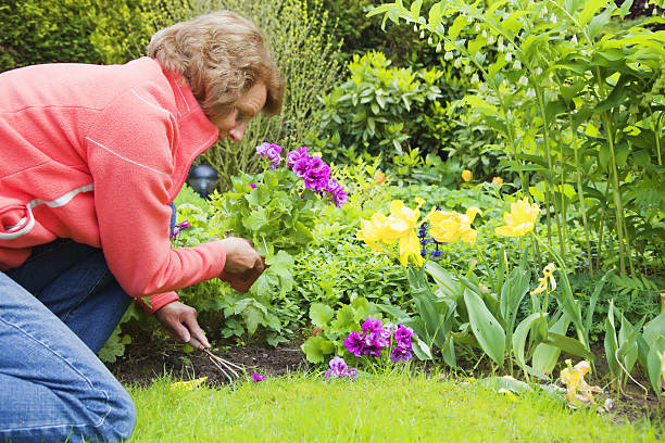 istock Gardening # 5 XXXL 182786825