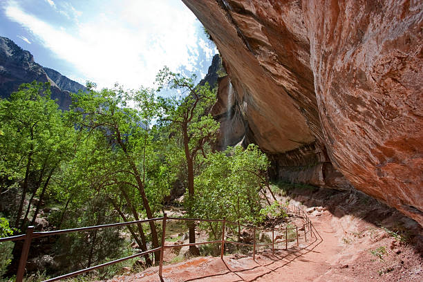 istock Trail in Zion National Park 182786906