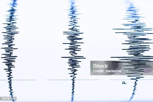 지진 조절음 흔들다 지진계에 대한 스톡 사진 및 기타 이미지 - 지진계, 0명, 개념