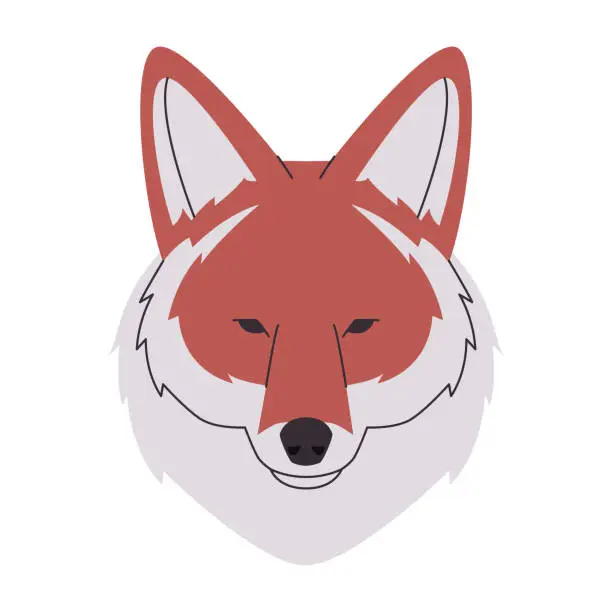 Vector illustration of brown and white color head coyote or wolf wild predator mammal animal danger hunter carnivore creature