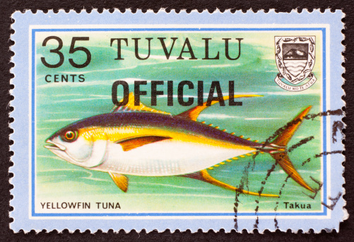 Yellowfin tuna depicted