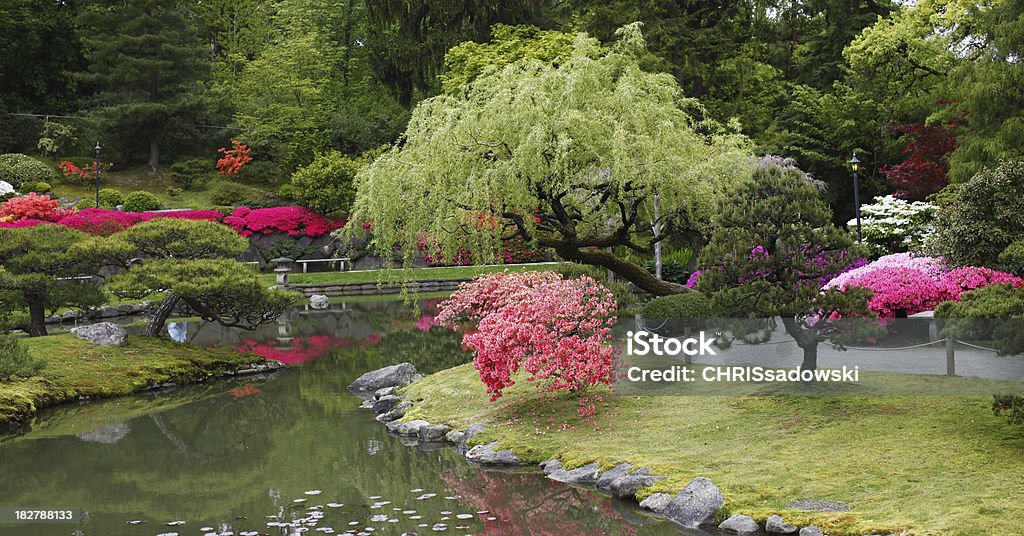 Colorido jardín escena - Foto de stock de Jardín japonés libre de derechos