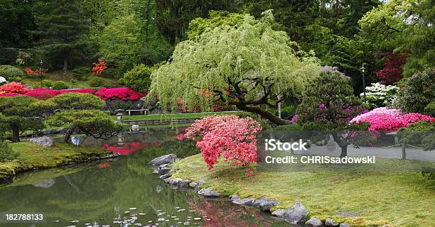 Colorido Cena De Jardim - Fotografias de stock e mais imagens de Jardim Japonês - Jardim Japonês, Nenúfar, Ajardinado