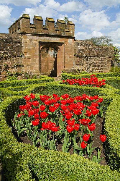 zamek w kenilworth - gate palace english culture formal garden zdjęcia i obrazy z banku zdjęć