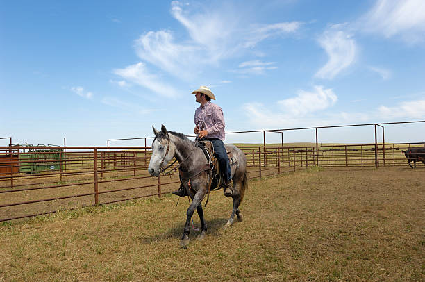 istock One Cowboy in Rural Cattle Stall 182789141