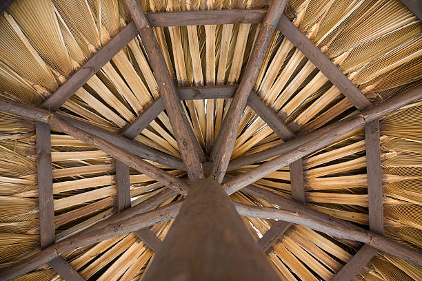 Beach umbrella stock photo