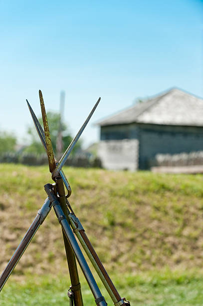 istock Muskets in a Fort 182789684