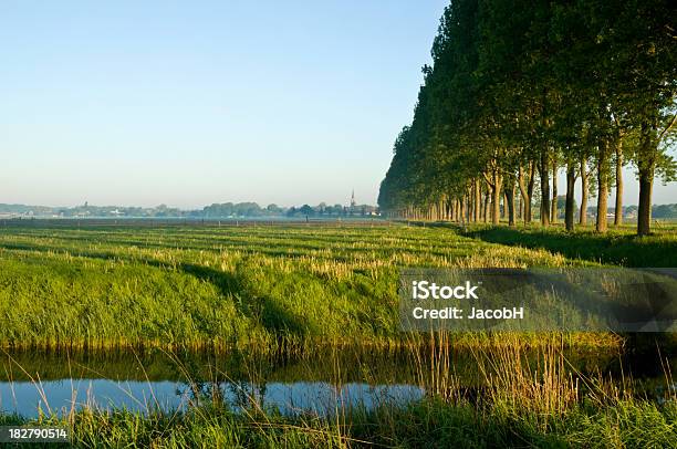 Dutch Polder Scene Stock Photo - Download Image Now - Agricultural Field, Agriculture, Canal