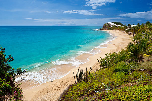 istock Curtain Bluff Beach, Antigua 182790563
