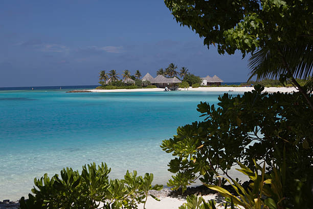 istock Fantastic Island on the Maldives 182790802