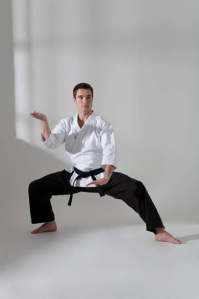 istock Young martial artist 182790894
