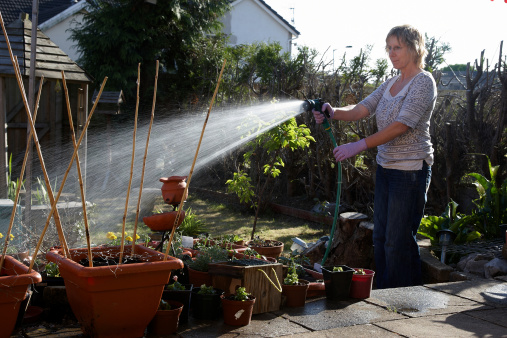 Mature woman hosing the garden