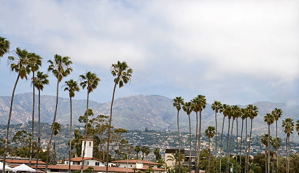 istock Santa Barbara Palm Trees and Mountains 182791036