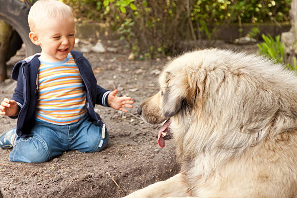 istock Happy Child and dog 182791083