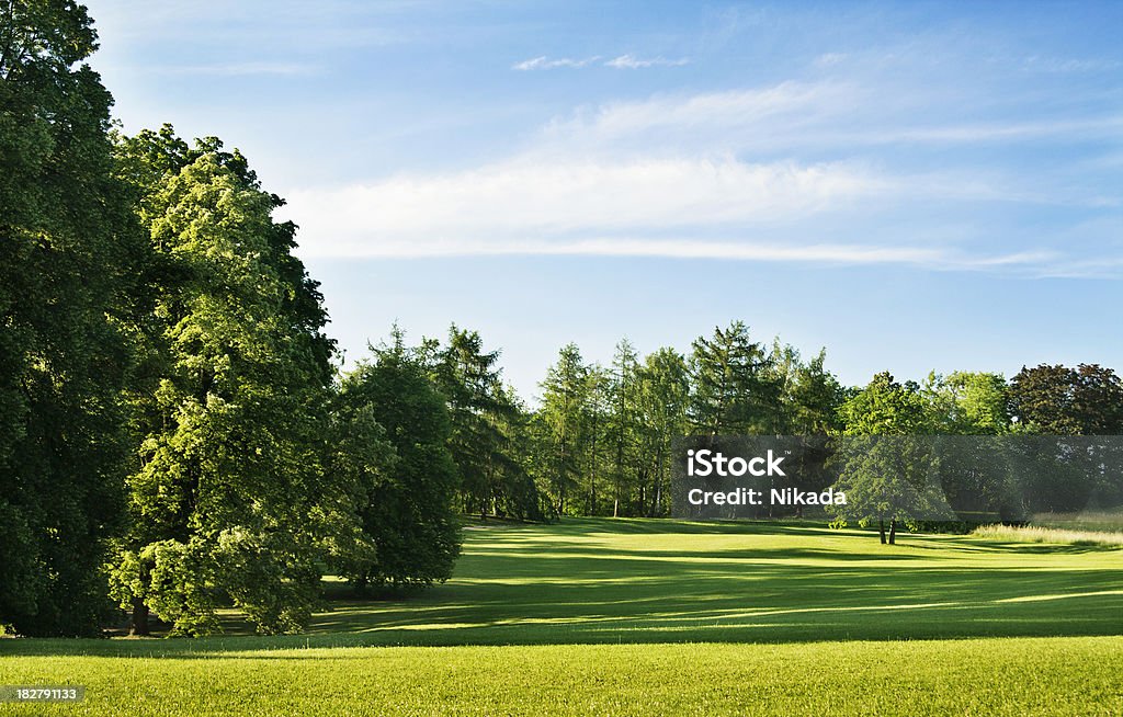 Paisagem de verão - Foto de stock de Beleza natural - Natureza royalty-free