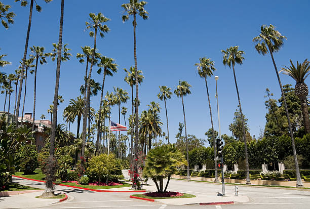 Beverly HIlls Los Angeles
